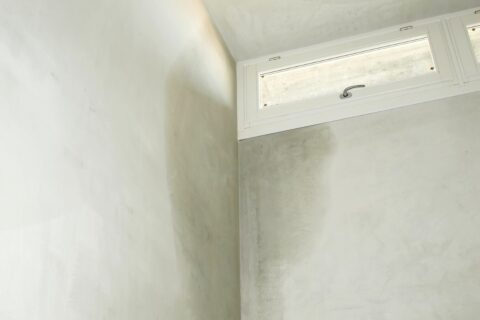Property Drying Services in Bromley BR1, BR3