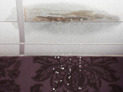 Damp inspection company near me Bromley