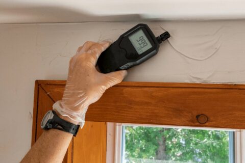 Damp Surveys & Investigation Services Surrey, Kent & London