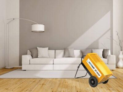 Your local damp detection Company in Surrey, Kent & London
