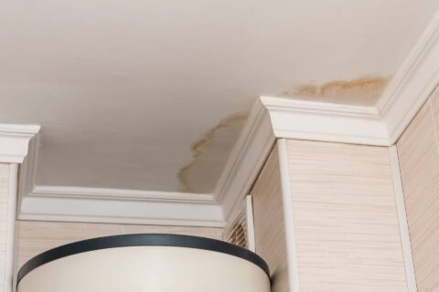 Damp Surveys & Investigation in Surrey, Kent & London