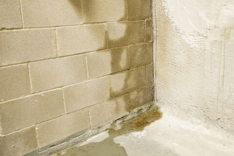 Damp Drying Service in Bromley